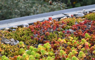 the cost of Iverley green roof installation