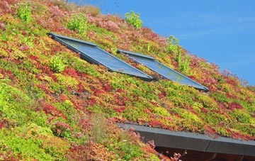 Iverley living roof systems