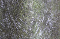 Iverley fibreglass roof work